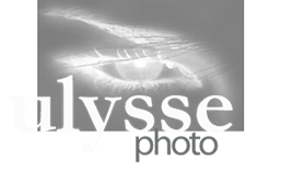 Ulysse Photo